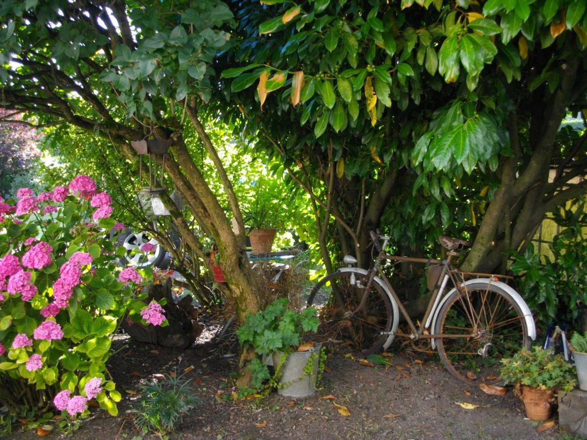 Au Bois Dormant Bed & Breakfast Huby-Saint-Leu ภายนอก รูปภาพ